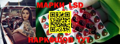прущие грибы Партизанск