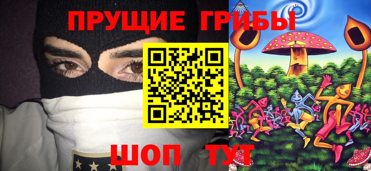 Псилоцибиновые грибы ЛСД  Псилоцибиновые грибы прущие грибы  Светлоград  Вход с VPN 